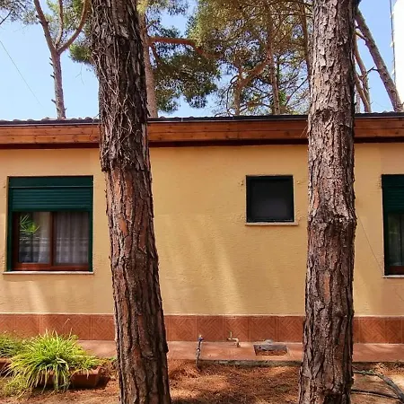 Bezhani Villa *