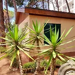 Bezhani