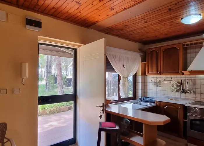 别墅 Bezhani 格勒姆